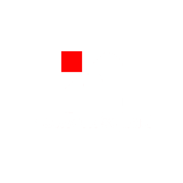 Network Squad logo