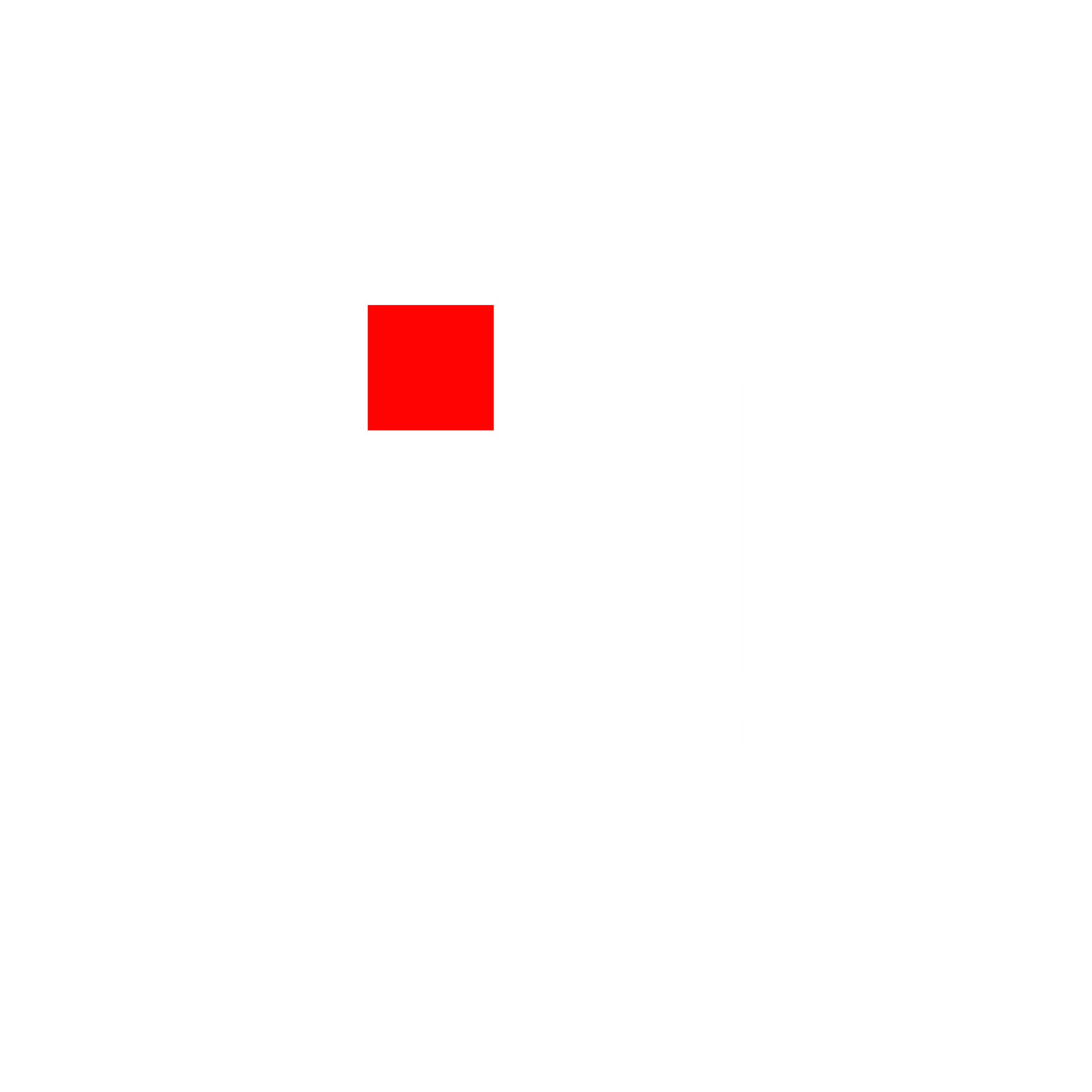 Network Squad